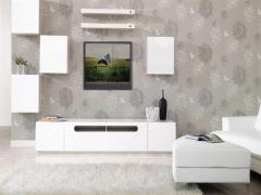 Mimarsinan ikinci el eşya alanlar