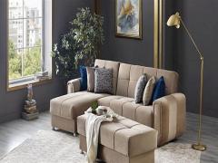 Kestanelik ikinci el eşya alanlar