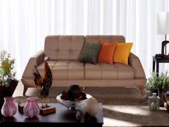 Koçullu ikinci el eşya alanlar