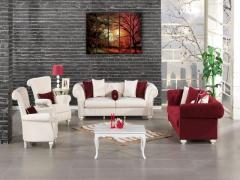 Cankurtaran ikinci el eşya alanlar