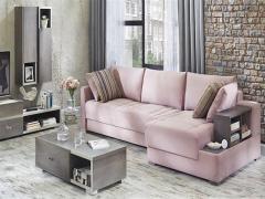 Tozkoparan ikinci el eşya alanlar