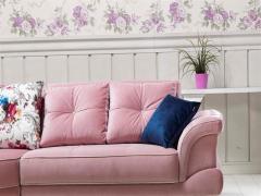 Nispetiye spot eşya alanlar