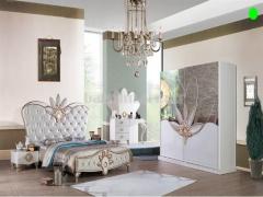 Örnek mahallesi ikinci el klasik mobilya alanlar