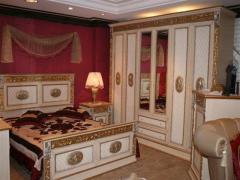 Eğitim mahallesi ikinci el klasik mobilya alanlar